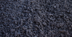 biosolids (2)