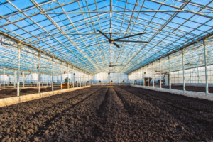 greenhouse