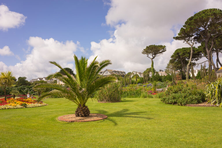 Flowers in a garden in Cornwall at summertime